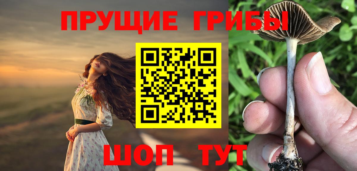 Галлюциногенные грибы Cubensis Гагарин